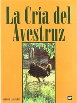 LA CRIA DEL AVESTRUZ